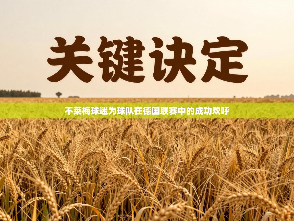 不莱梅球迷为球队在德国联赛中的成功欢呼